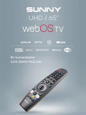 Televizyon
